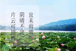 夏至是入伏嗎？夏至后多久入伏？
