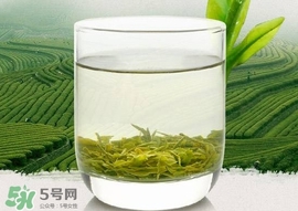 如何鑒別信陽毛尖好壞？信陽毛尖品鑒十步法