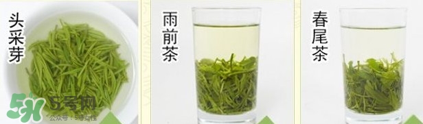 信陽(yáng)毛尖什么牌子好？信陽(yáng)毛尖哪個(gè)品牌好