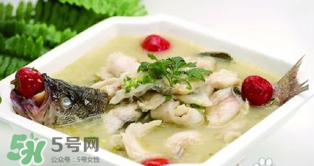 海鱸魚多少錢一斤2017？淡水鱸魚多少錢一斤？