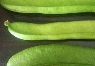 刀豆是四季豆嗎？刀豆和四季豆的區(qū)別