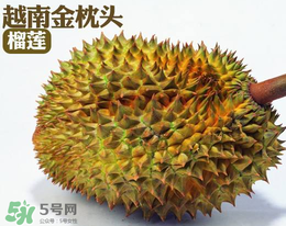 紅心榴蓮多少錢一斤？紅心榴蓮為什么這么貴？