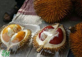 紅心榴蓮多少錢一斤？紅心榴蓮為什么這么貴？