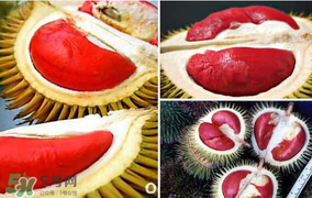 紅心榴蓮叫什么？紅心榴蓮是哪個(gè)國(guó)家產(chǎn)的？