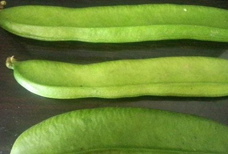 刀豆是發(fā)物嗎？刀豆是不是發(fā)物