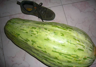 菜瓜怎么炒好吃？菜瓜怎么做好吃