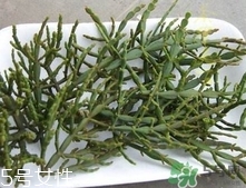 螃蟹腳茶多少錢一斤2017？螃蟹腳茶的價(jià)格
