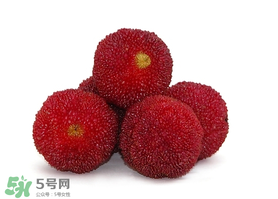 吃完楊梅不能吃什么？吃完楊梅可以吃別的水果嗎？