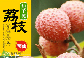 妃子笑荔枝多少錢(qián)一斤？2017妃子笑荔枝價(jià)格