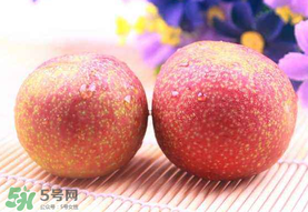 紅心李子孕婦可以吃嗎？紅心李子營養(yǎng)價值