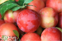 ?楊梅和李子能一起吃嗎？楊梅和李子一起吃會(huì)中毒嗎？