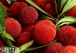 ?楊梅和李子能一起吃嗎？楊梅和李子一起吃會(huì)中毒嗎？