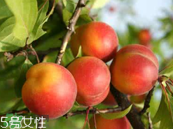 ?楊梅和李子能一起吃嗎？楊梅和李子一起吃會(huì)中毒嗎？