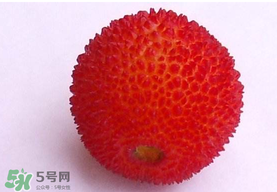 楊梅籽可以吃嗎？吃楊梅籽有什么好處？