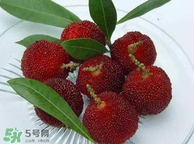 楊梅籽可以吃嗎？吃楊梅籽有什么好處？