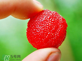 楊梅一天最多吃多少？楊梅一次能吃多少？