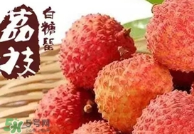 白糖罌荔枝多少錢一斤2017？白糖罌荔枝價(jià)格