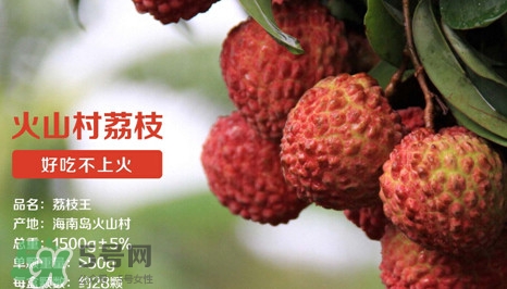 荔枝王是什么品種？荔枝王多少錢一斤2017？