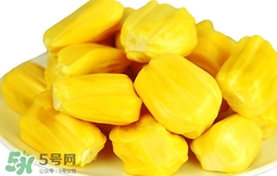 菠蘿蜜軟了還能吃嗎？菠蘿蜜軟了怎么辦？