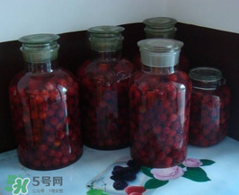 泡楊梅酒用什么瓶子？楊梅酒可以用塑料瓶泡嗎？