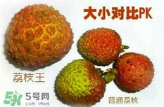 荔枝王好吃嗎？荔枝王和妃子笑的區(qū)別