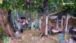 諜紙?zhí)煅酆屯鸂I有什么關(guān)系？