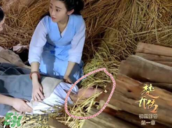 諜紙?zhí)煅酆屯鸂I有什么關(guān)系？