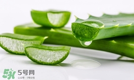 蘆薈面膜要敷多久？蘆薈面膜多久敷一次