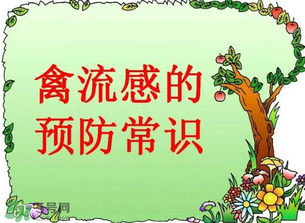 6月有禽流感嗎？2017年6月有禽流感嗎？