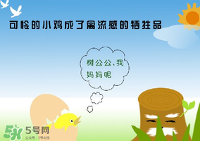 6月有禽流感嗎？2017年6月有禽流感嗎？
