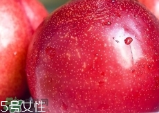 桃駁李是轉(zhuǎn)基因嗎？桃駁李是不是轉(zhuǎn)基因