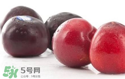 紅布林和黑布林哪個好？紅布林與黑布林的區(qū)別