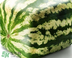 方形西瓜是如何種出來的？方形西瓜是怎么長(zhǎng)成的