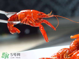 潛江小龍蝦有什么特色？潛江龍蝦節(jié)是每年什么時候？ 