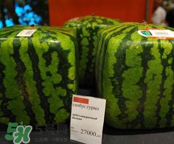 方形西瓜哪里有賣的？哪里可以買到方形西瓜