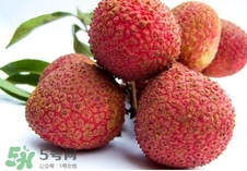 黑葉荔枝和妃子笑哪個(gè)好吃？黑葉荔枝和妃子笑的區(qū)別