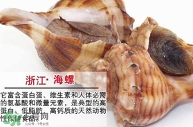 死海螺能吃嗎？死海螺可以吃嗎