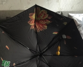 蕉下小黑傘能遮雨嗎？蕉下太陽傘能淋雨嗎？