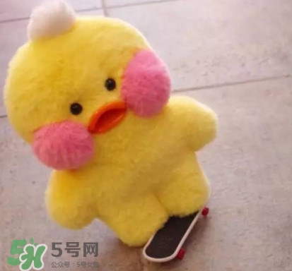 玻尿酸鴨哪里可以買到？一個玻尿酸鴨多少錢？