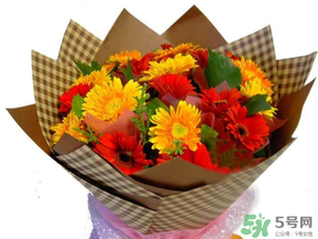 父親節(jié)可以送花嗎？父親節(jié)送什么花最合適？