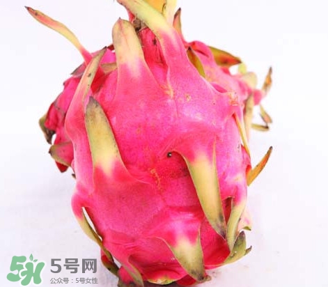 紅心火龍果上火嗎？火龍果是上火的還是降火的？