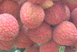 黑葉荔枝和白糖罌哪個(gè)好吃？黑葉荔枝和白糖罌區(qū)別