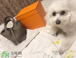 菜籃子包是什么牌子？菜籃子包是哪個(gè)品牌的？