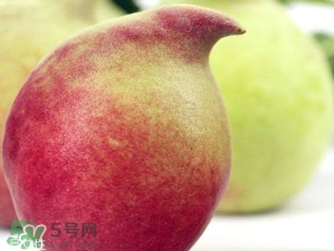 鷹嘴桃種植應(yīng)注意哪些？鷹嘴桃什么時(shí)間修剪