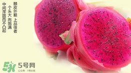 紅心火龍果對(duì)人體有哪些好處？紅心火龍果的禁忌