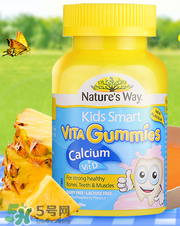 Nature's Way好嗎 Nature's Way保健品怎么樣？