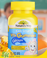 Nature's Way好嗎 Nature's Way保健品怎么樣？