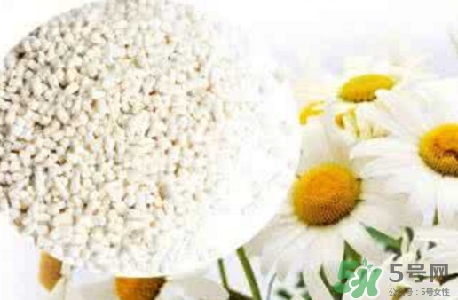 菊花晶是熱性還是涼性？菊花晶嬰兒可以喝嗎？