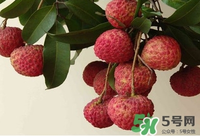 糯米糍荔枝多少錢一斤2017？糯米糍荔枝市場(chǎng)價(jià)格