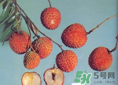 糯米糍荔枝產(chǎn)地是哪里？糯米糍荔枝上火嗎